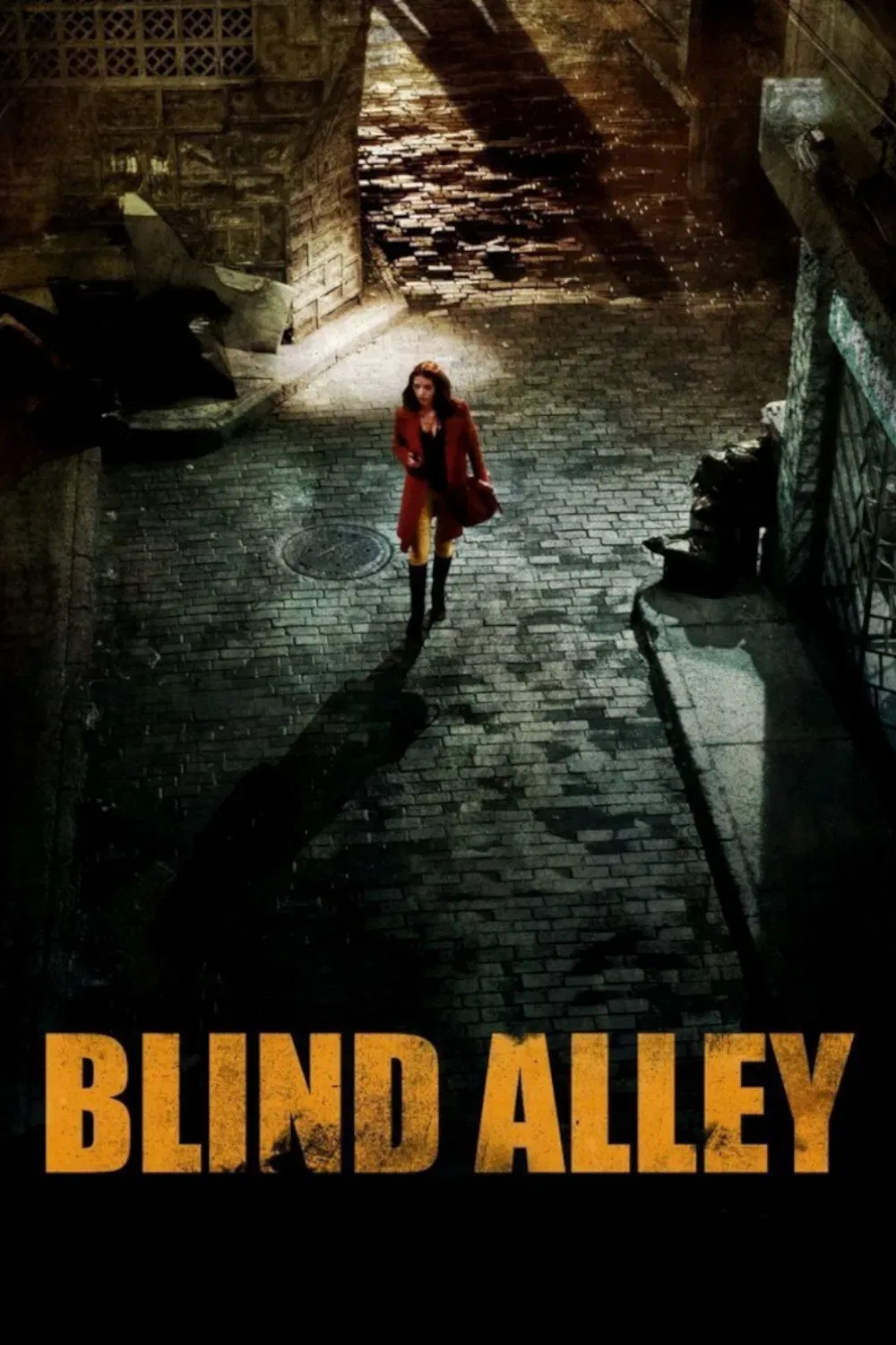 Poster of the movie Blind Alley