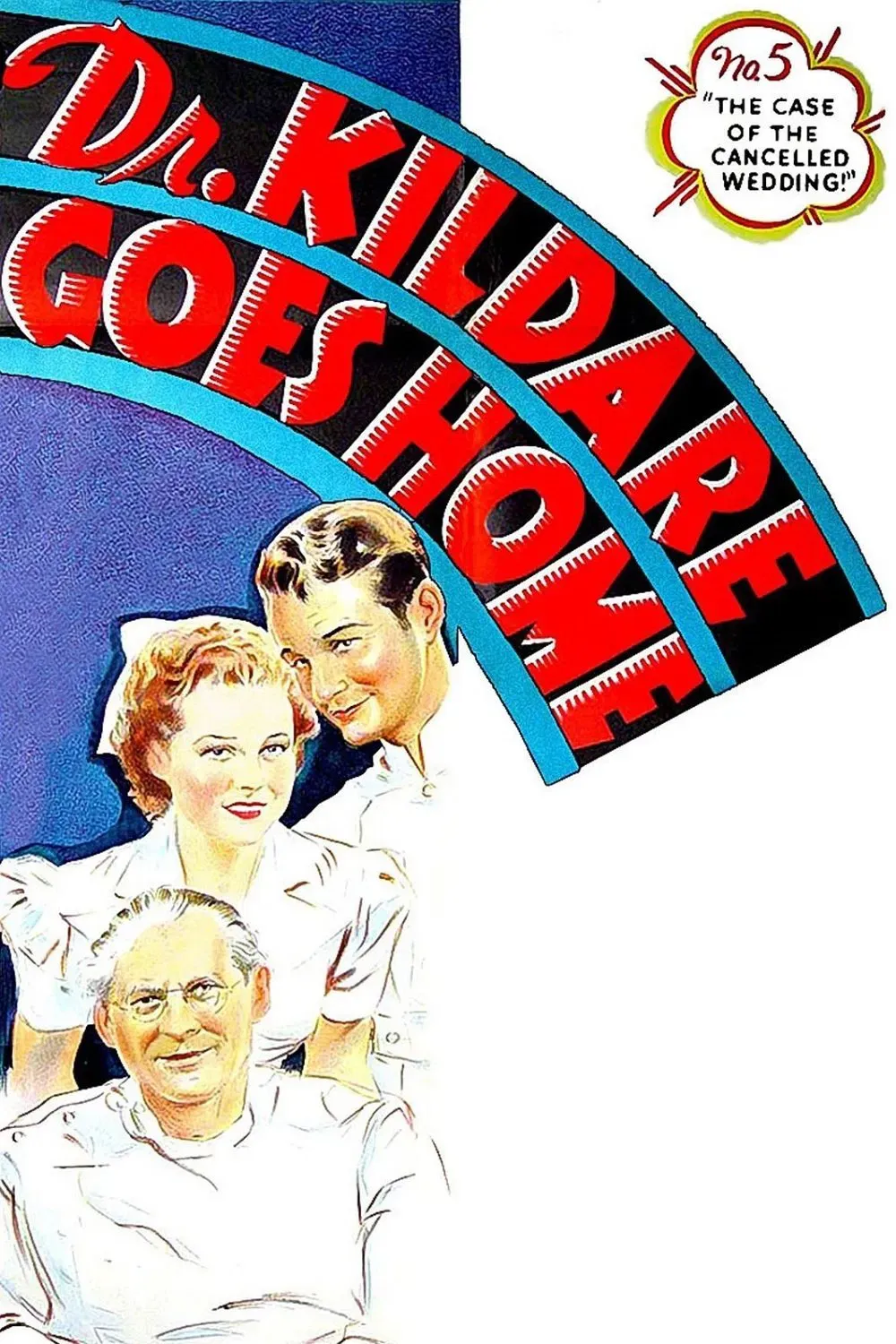 Poster of the movie Dr. Kildare Goes Home