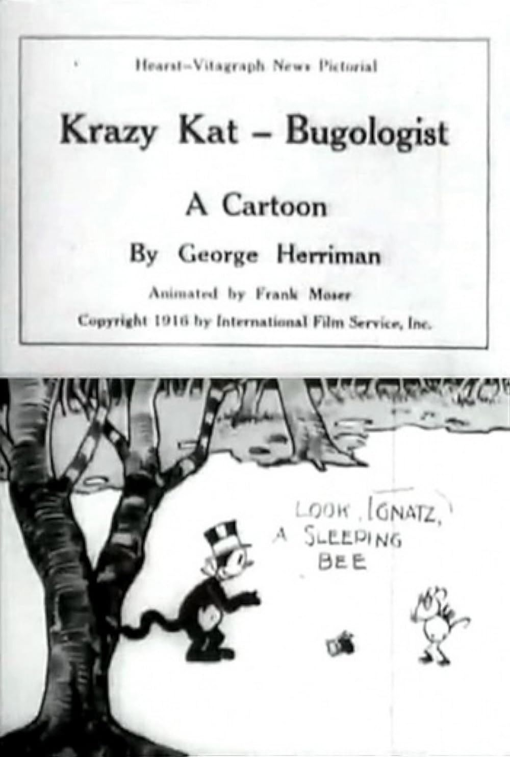 Poster of the movie Krazy Kat, Bugologist
