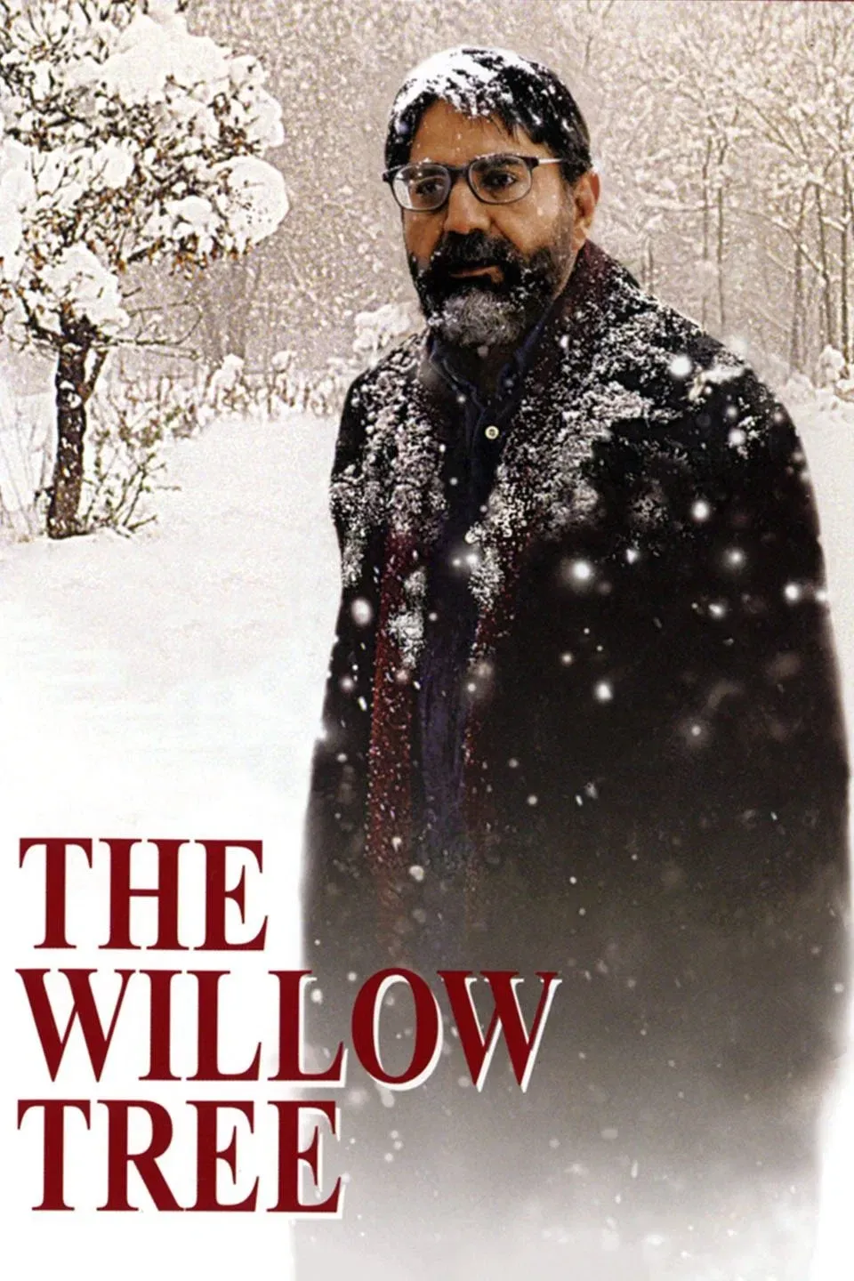 Poster of the movie The Willow Tree