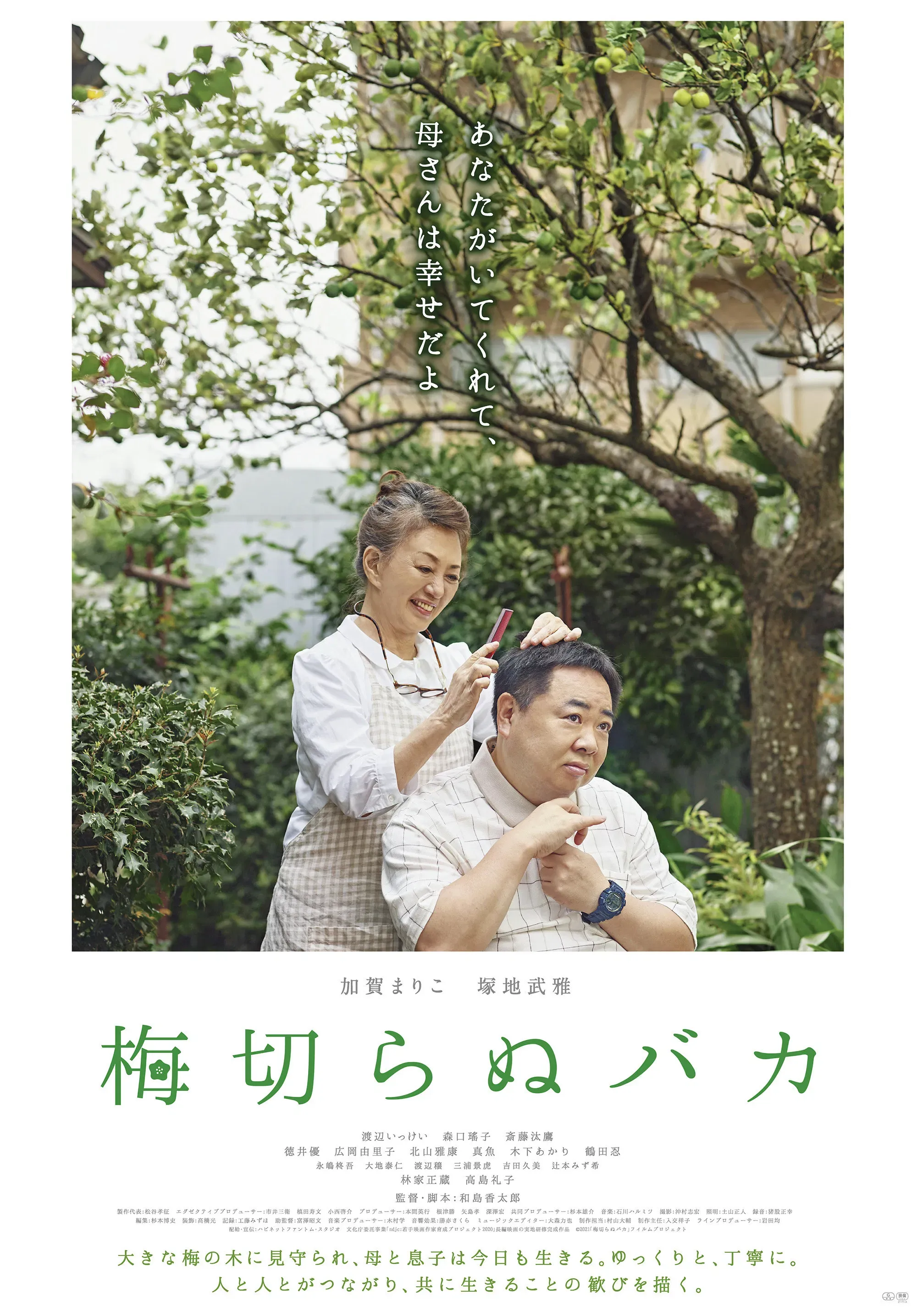 Poster of the movie The Lone Ume Tree