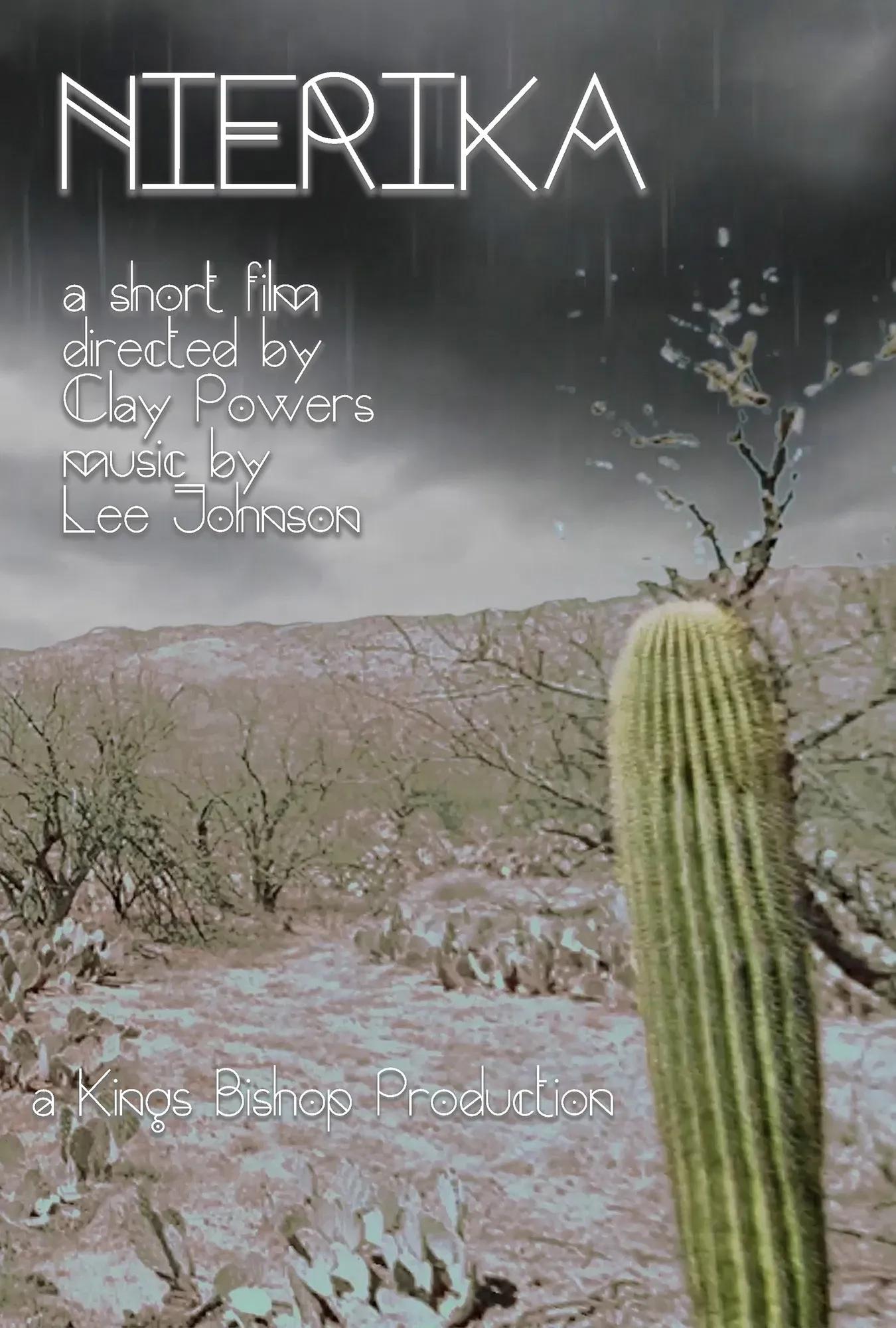 Poster of the movie Nierika