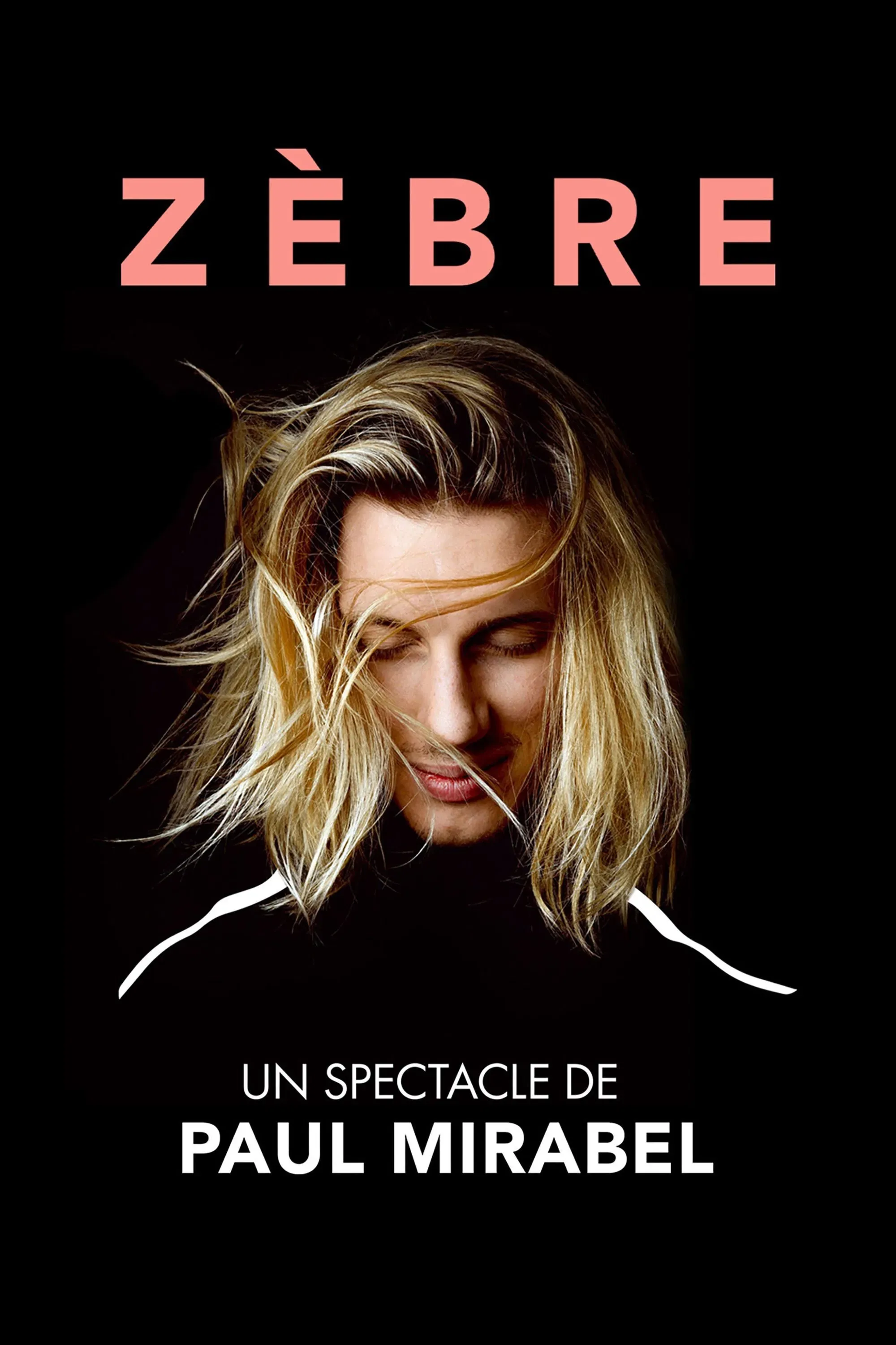 Poster of the movie Paul Mirabel : Zèbre