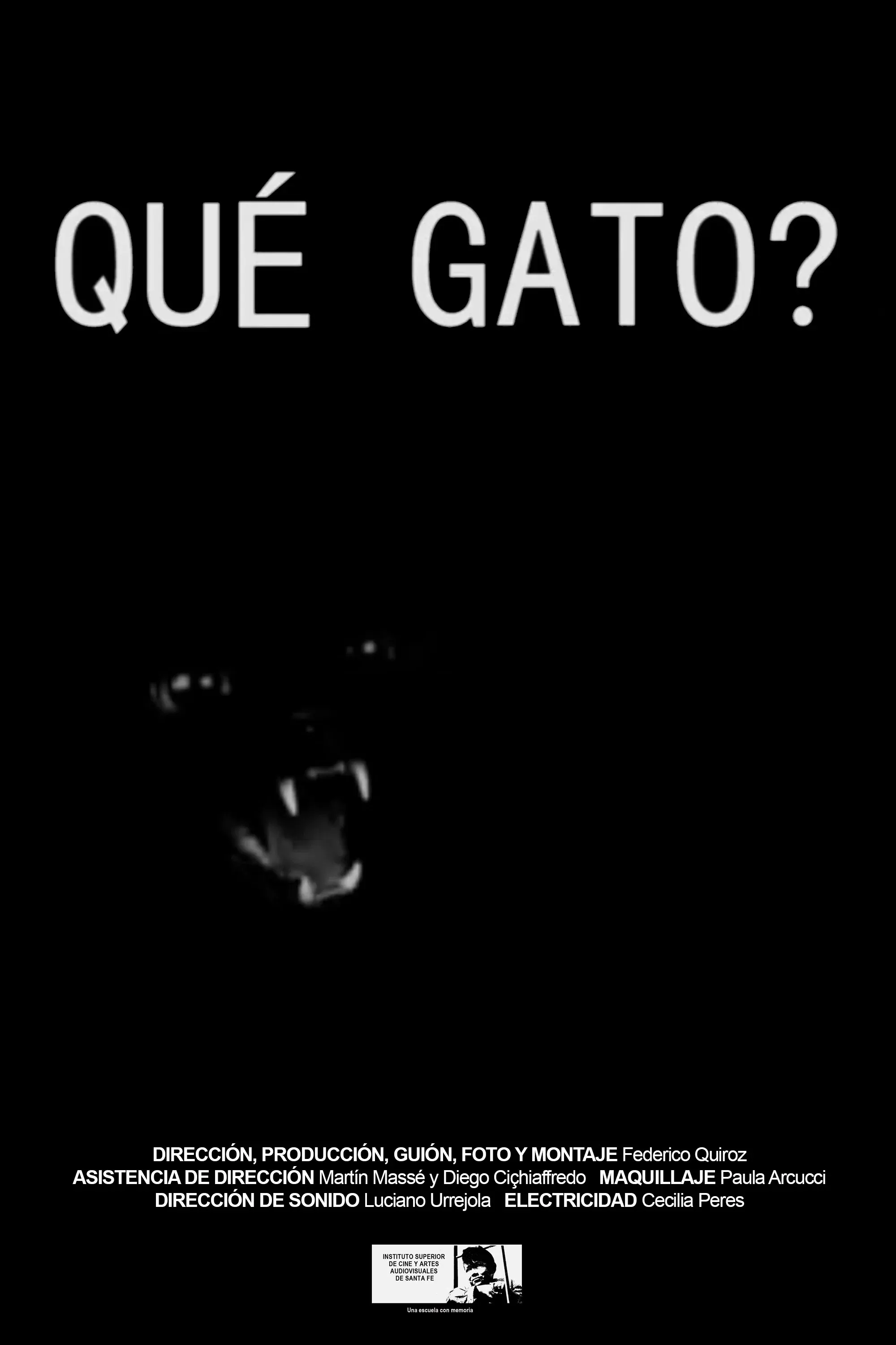 Poster for Qué gato?
