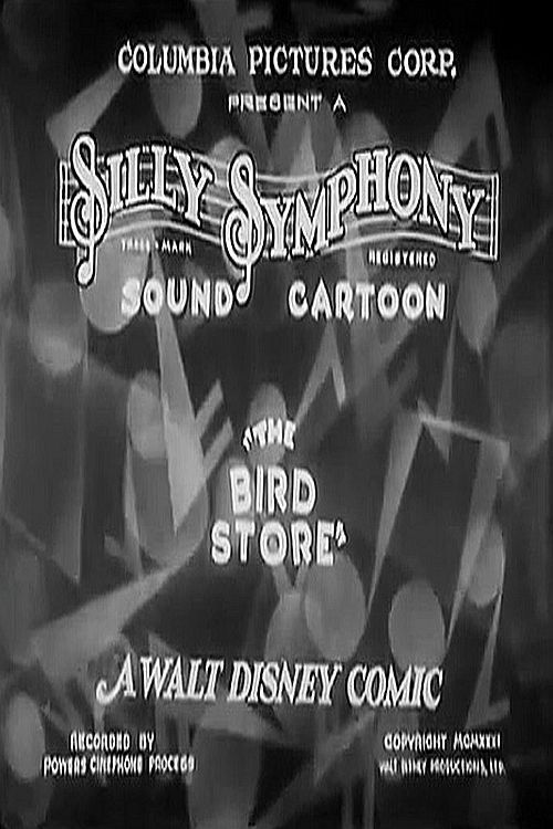 Poster of the movie The Bird Store