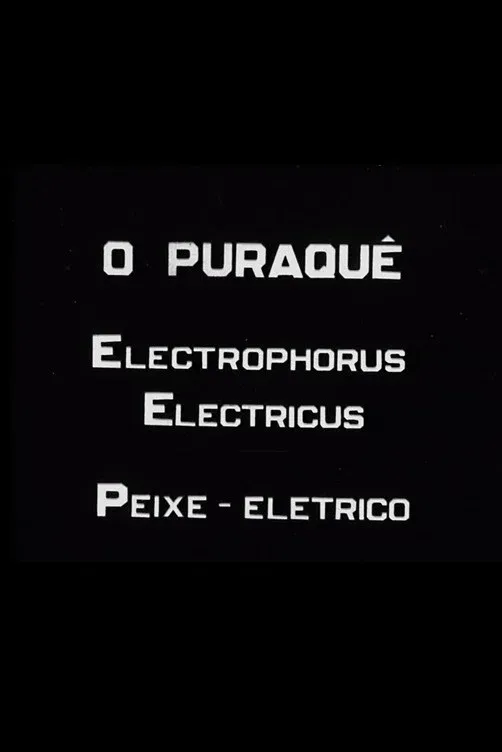 Poster for O Puraquê