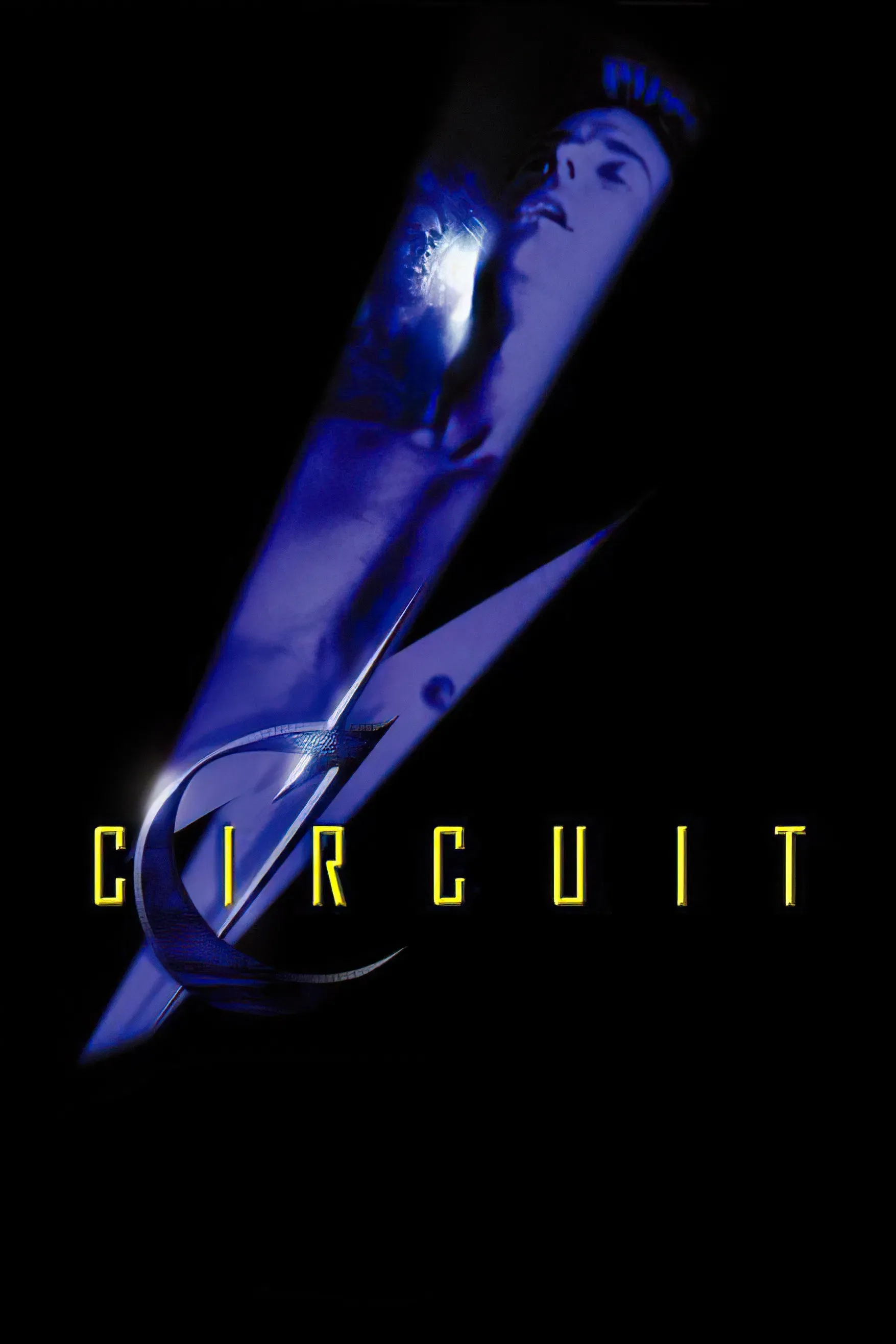 Poster of the movie Circuit