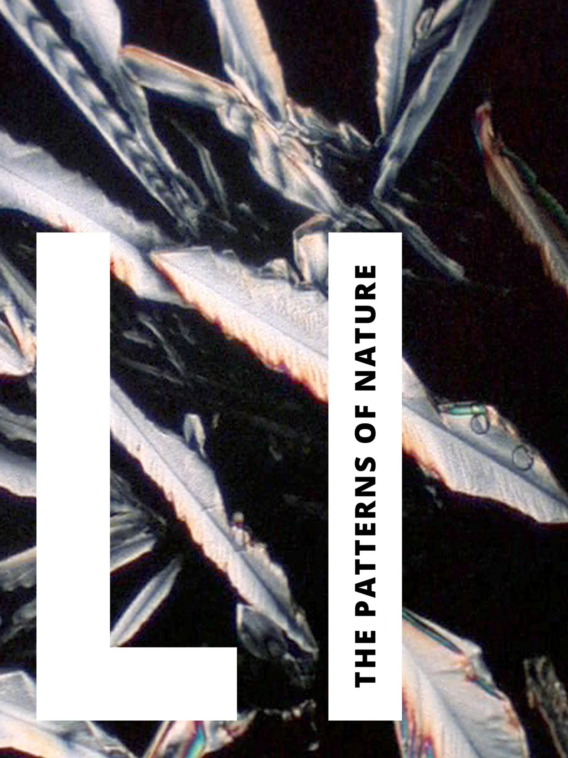 Poster of the movie Li: The Patterns of Nature