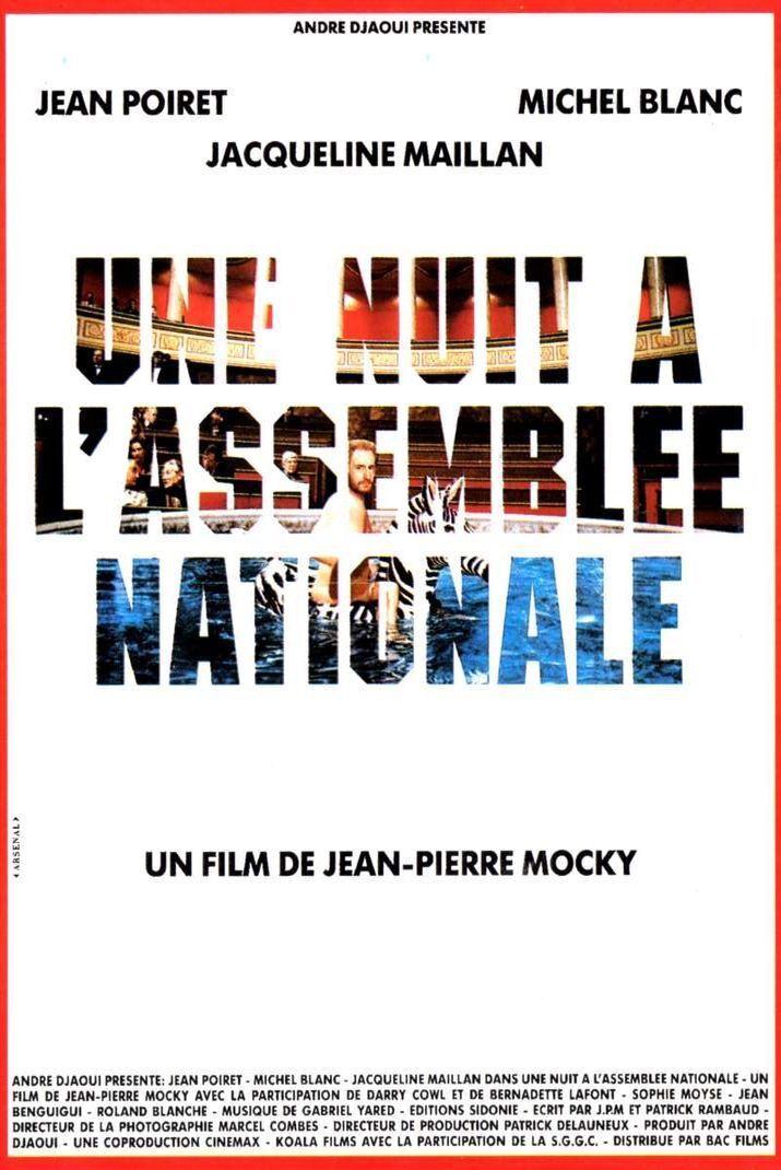 Poster of the movie Une nuit à l'Assemblée Nationale