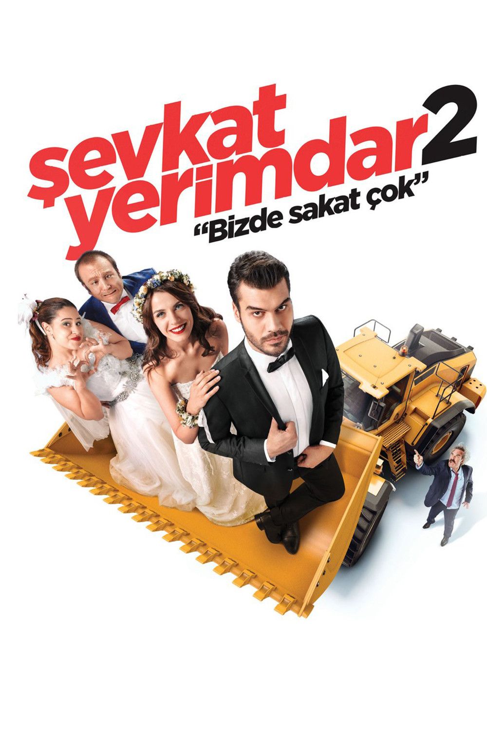 Poster of the movie Şevkat Yerimdar 2