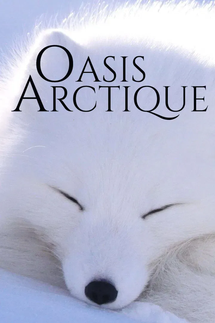 Poster of the movie Oasis Arctique