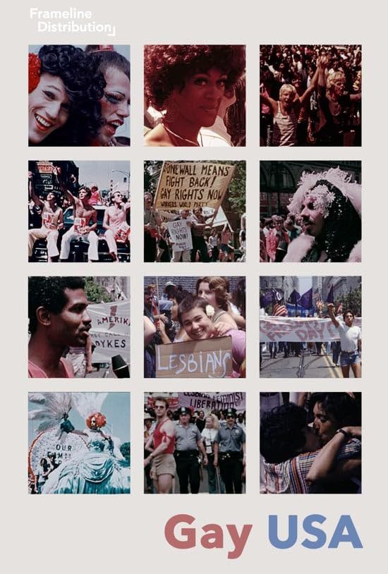 Poster of the movie Gay USA