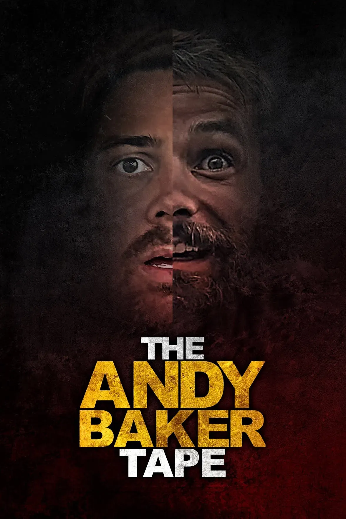 Poster of the movie The Andy Baker Tape