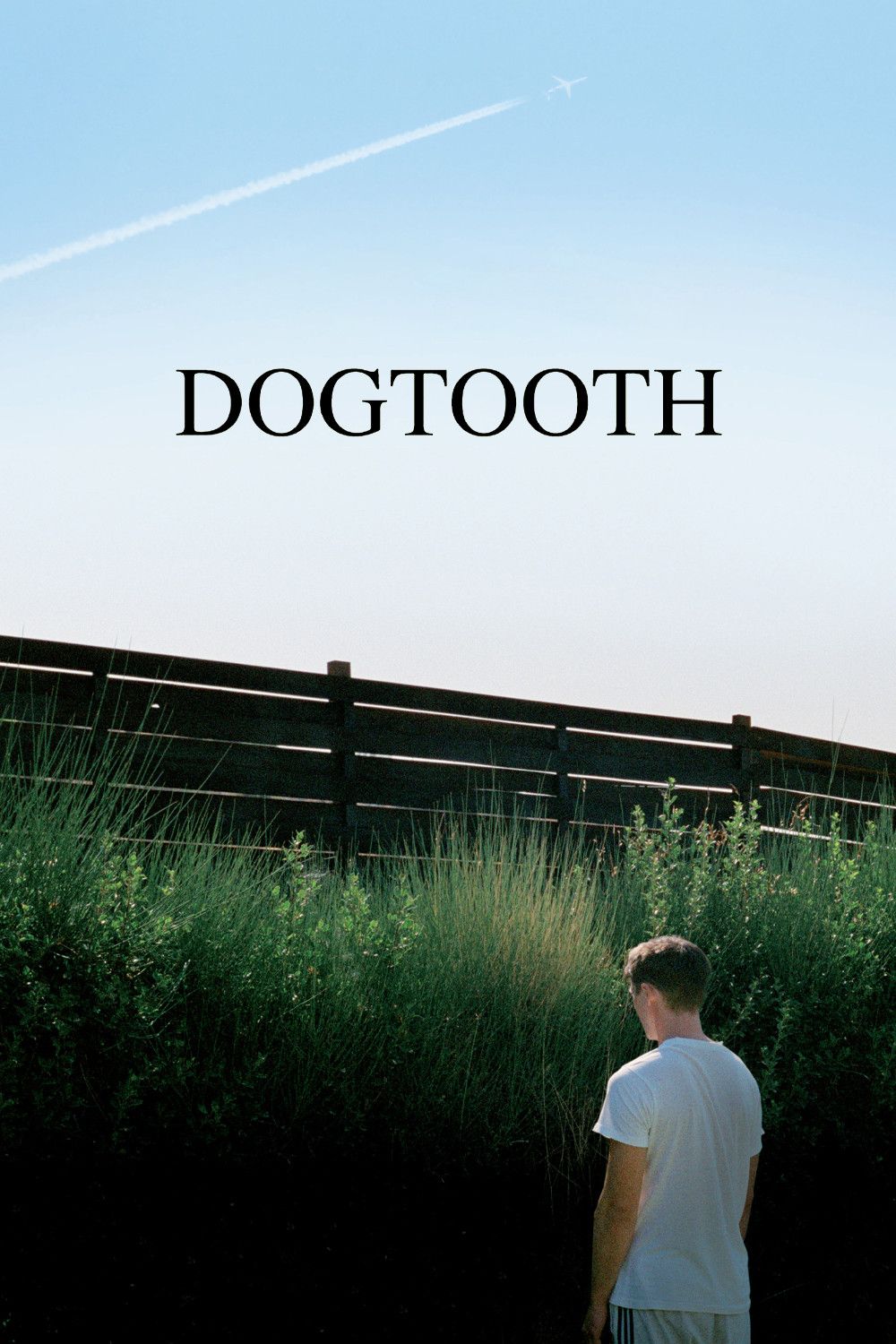 Poster of the movie Dogtooth