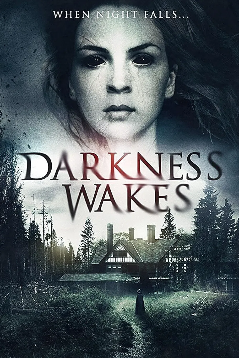Poster of the movie Darkness Wakes