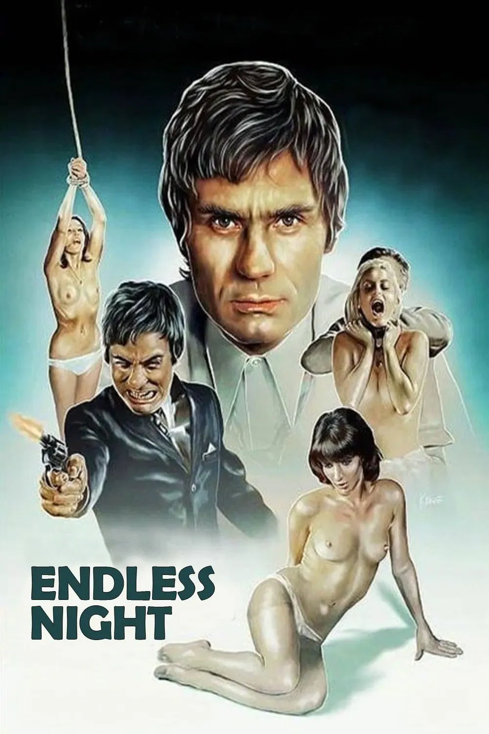 Poster of the movie Endless Night