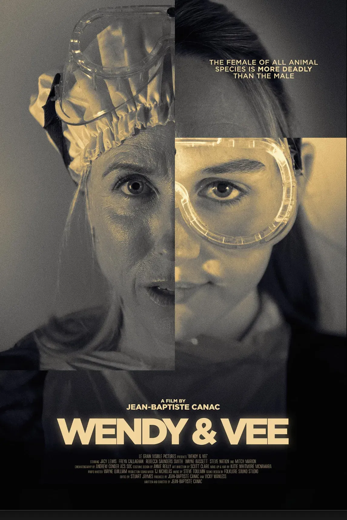 Poster of the movie Wendy and Vee