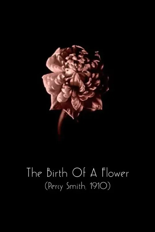 Poster of the movie The Birth of a Flower