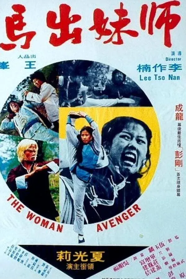 Poster of the movie Woman Avenger