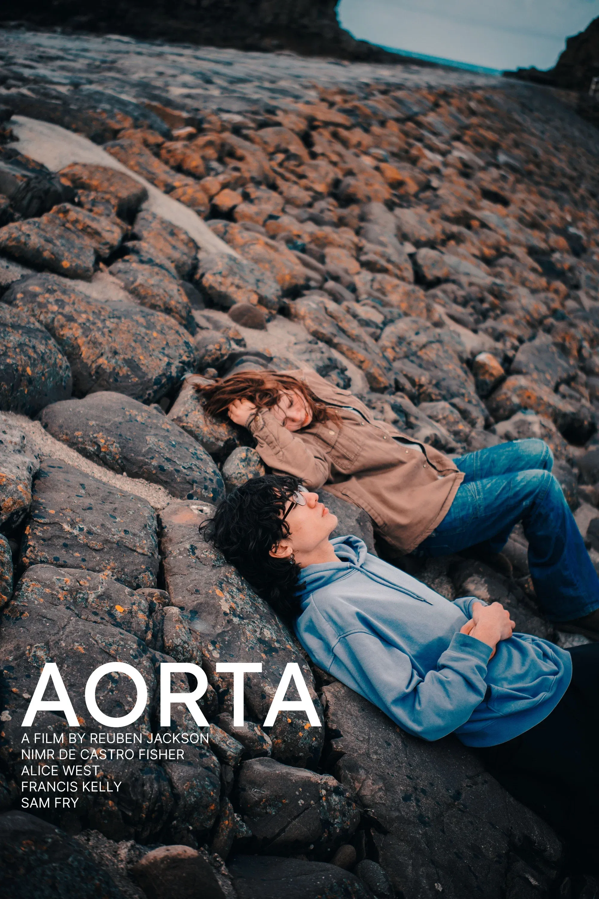 Poster for AORTA
