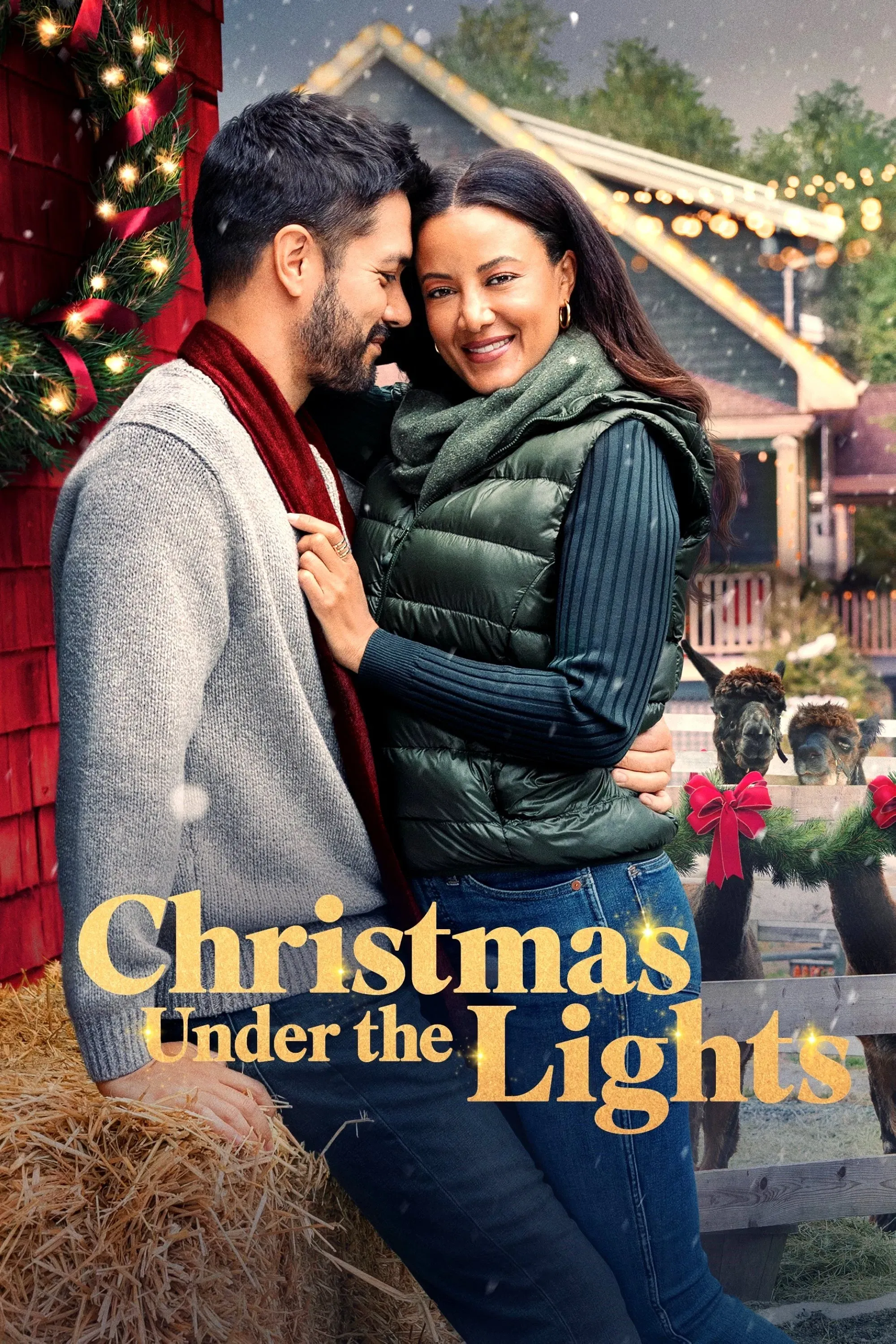 Poster of the movie Christmas Under the Lights