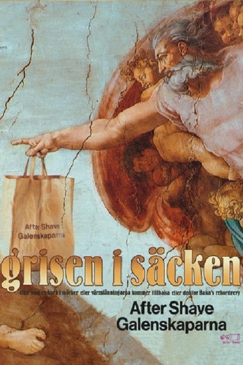 Poster of the movie Grisen i säcken