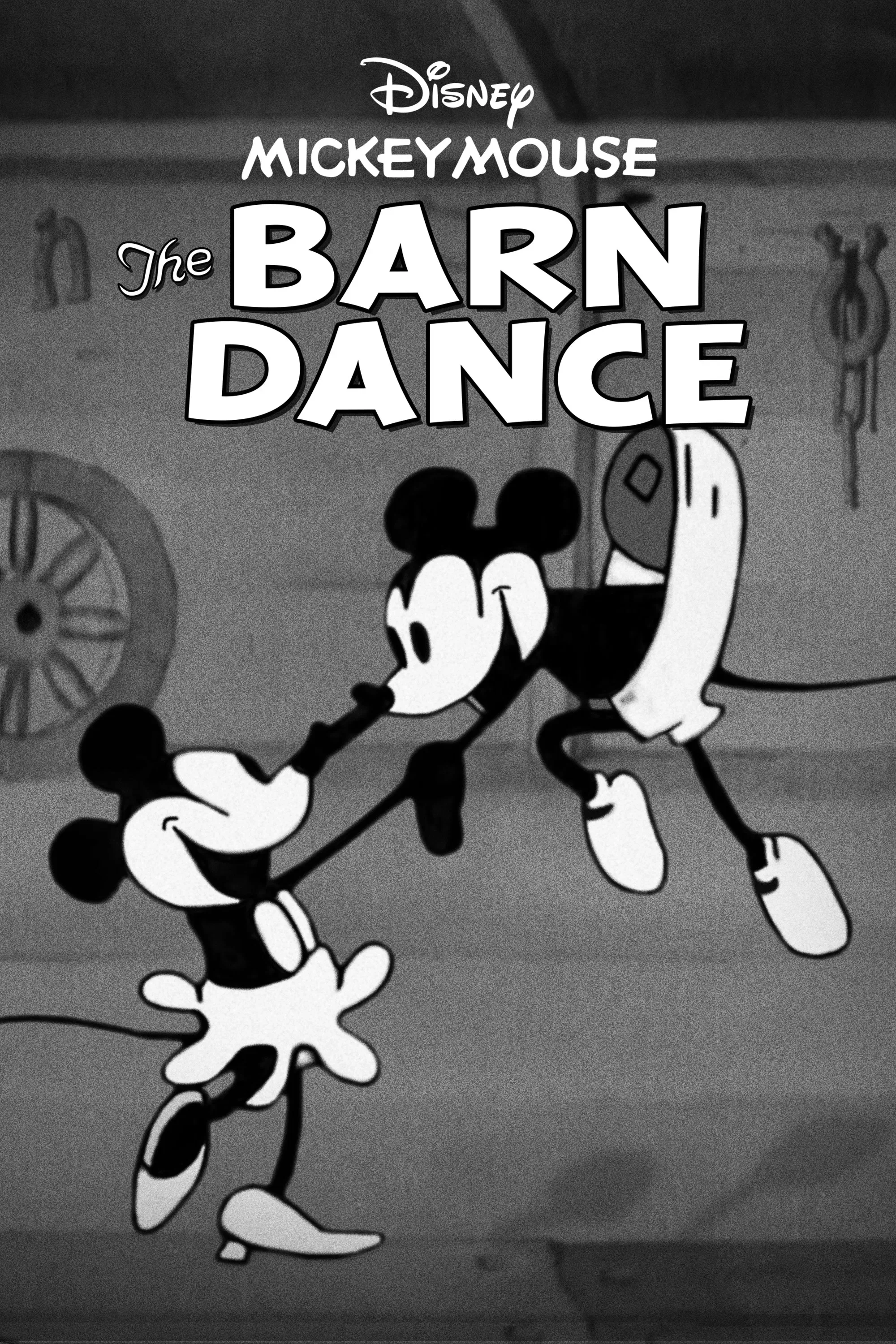 Poster of the movie The Barn Dance