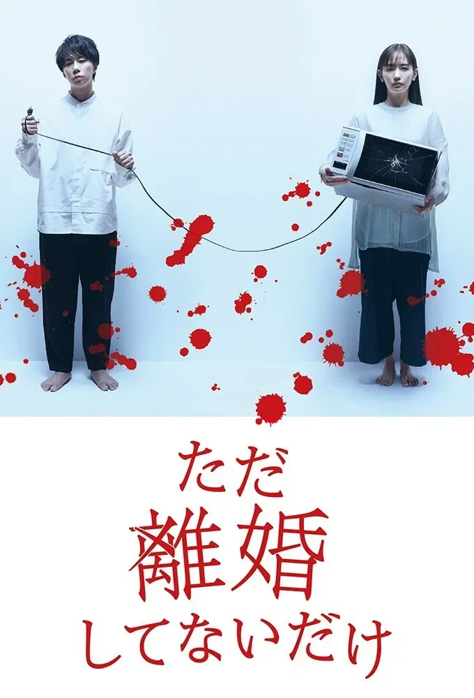 Poster of We Are Just Not Divorced