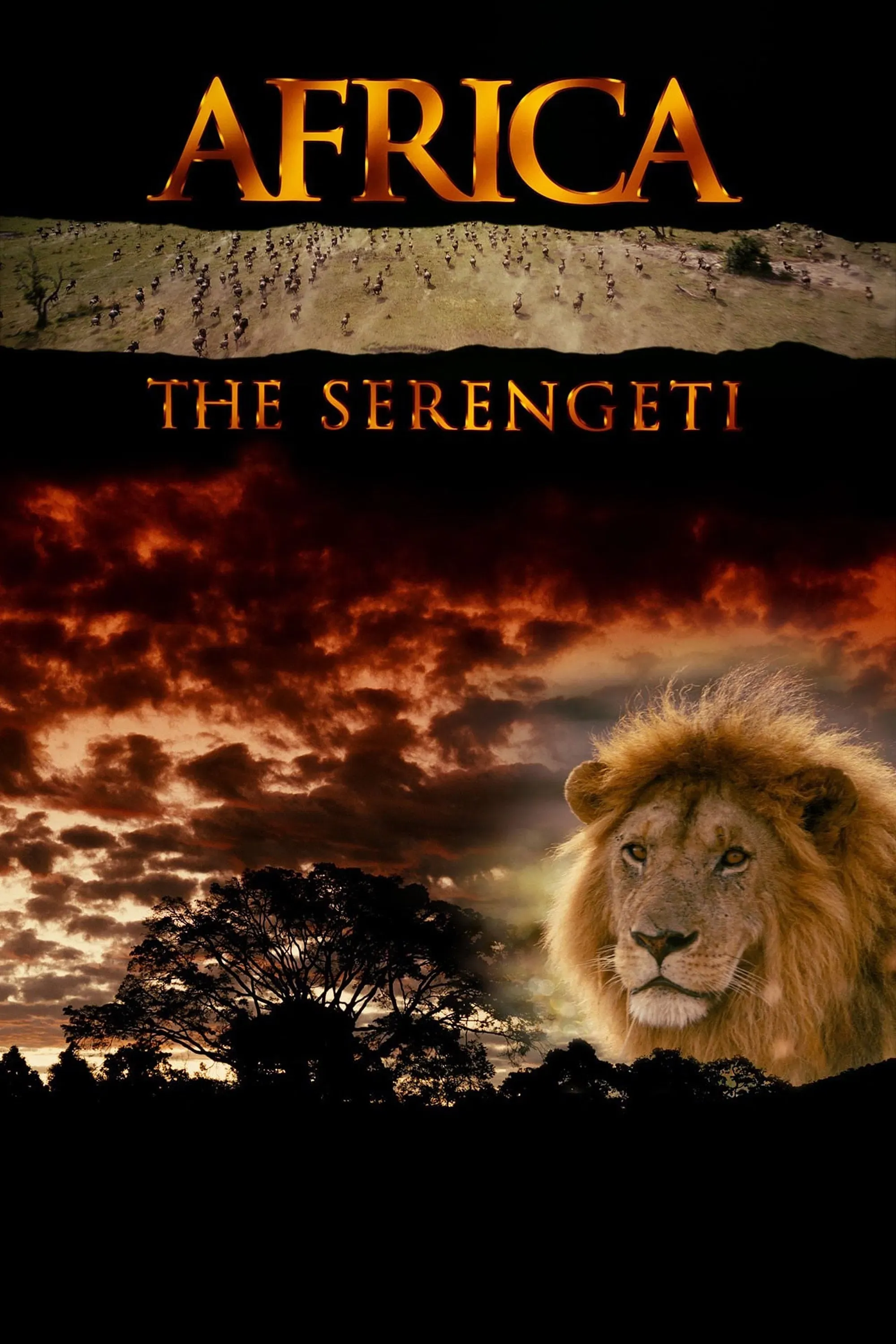 Poster of the movie Africa: The Serengeti