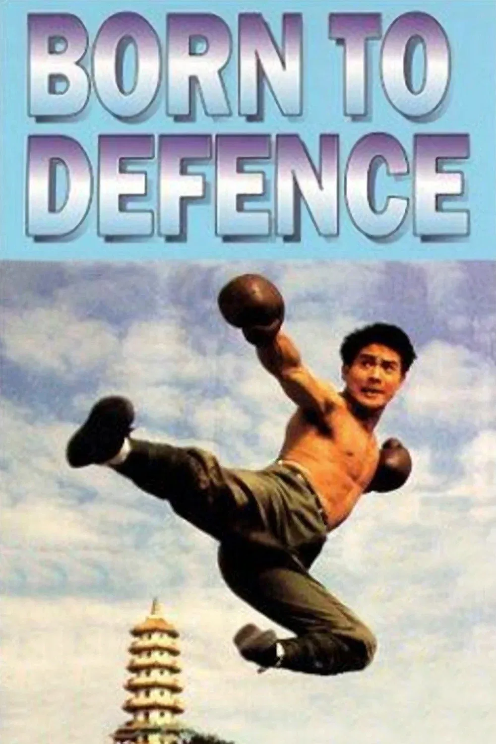 Poster of the movie Born to Defence