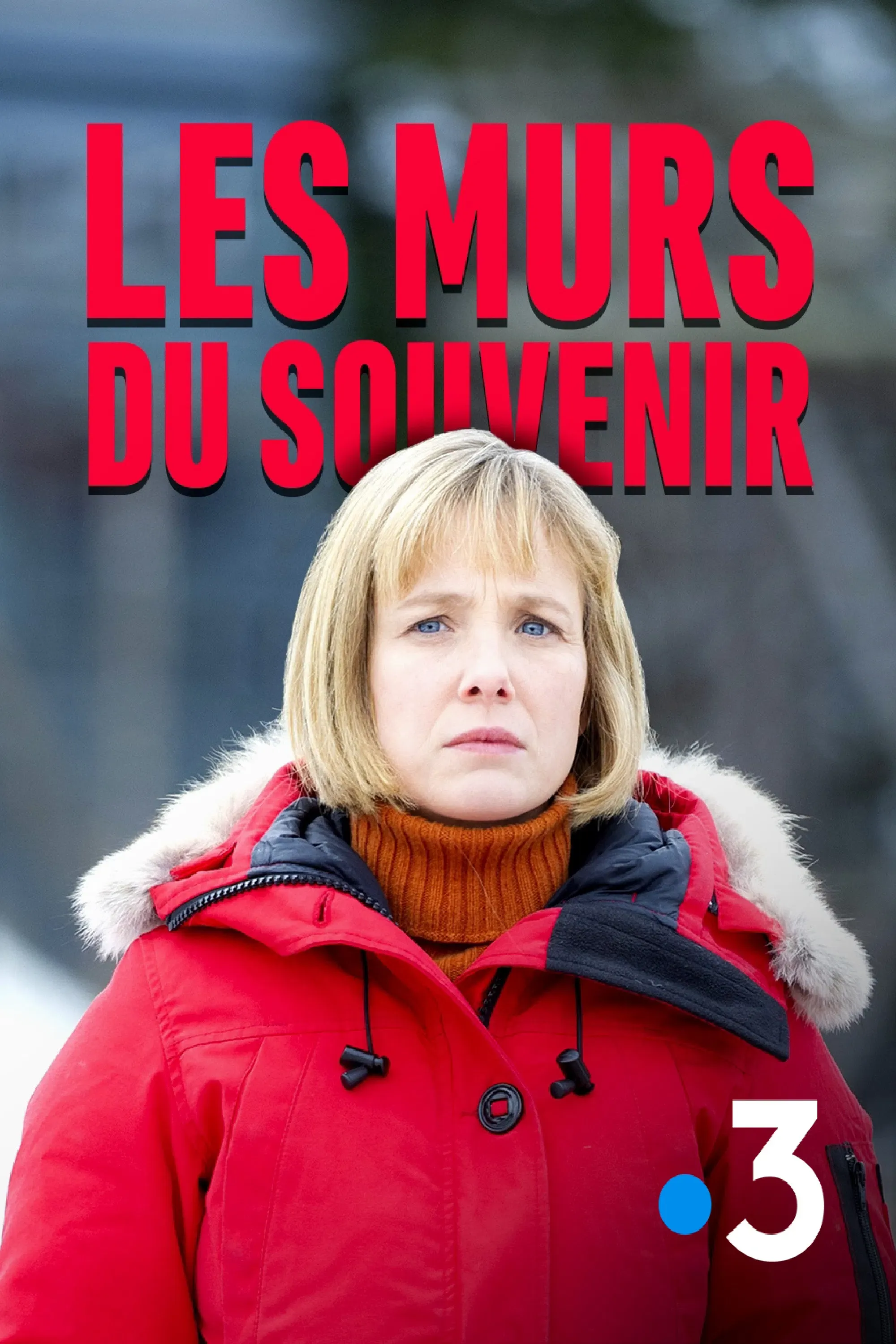 Poster of the movie Les murs du souvenir