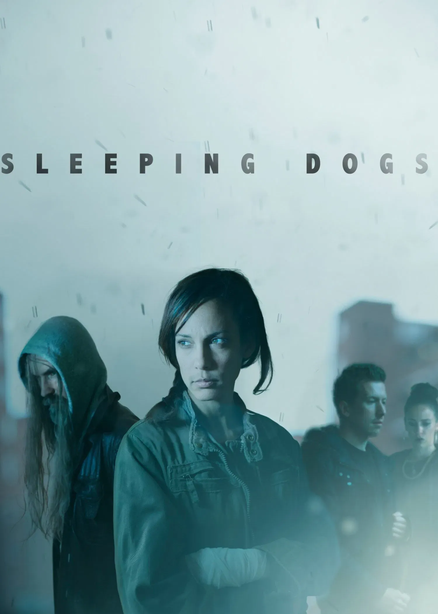 Poster of the movie Sleeping Dogs