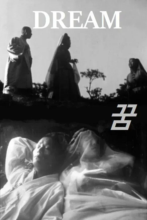 Poster of the movie Dream