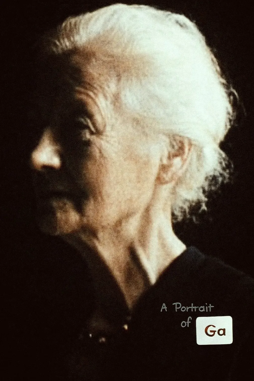 Poster of the movie A Portrait of Ga
