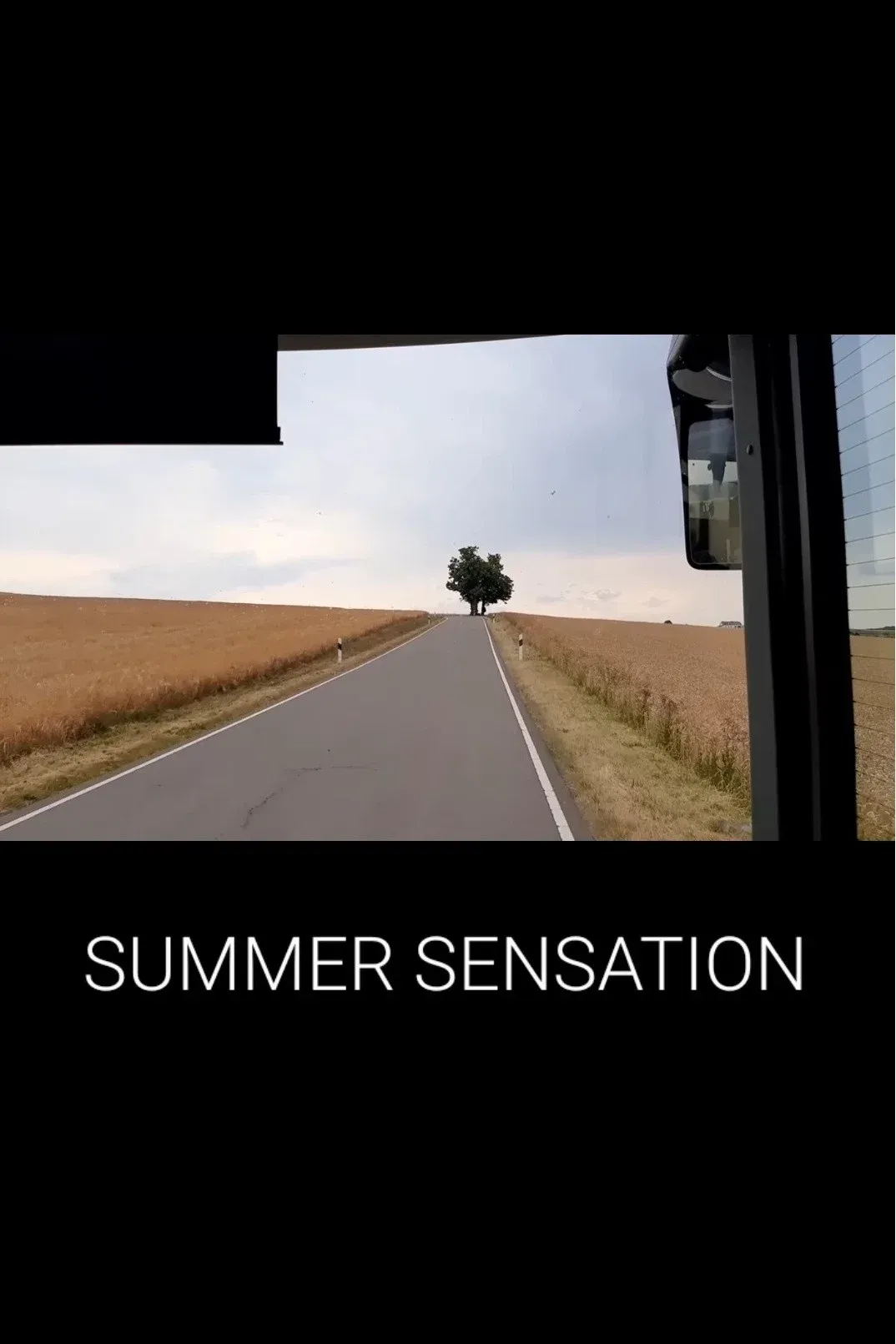 Poster for Summer Sensation