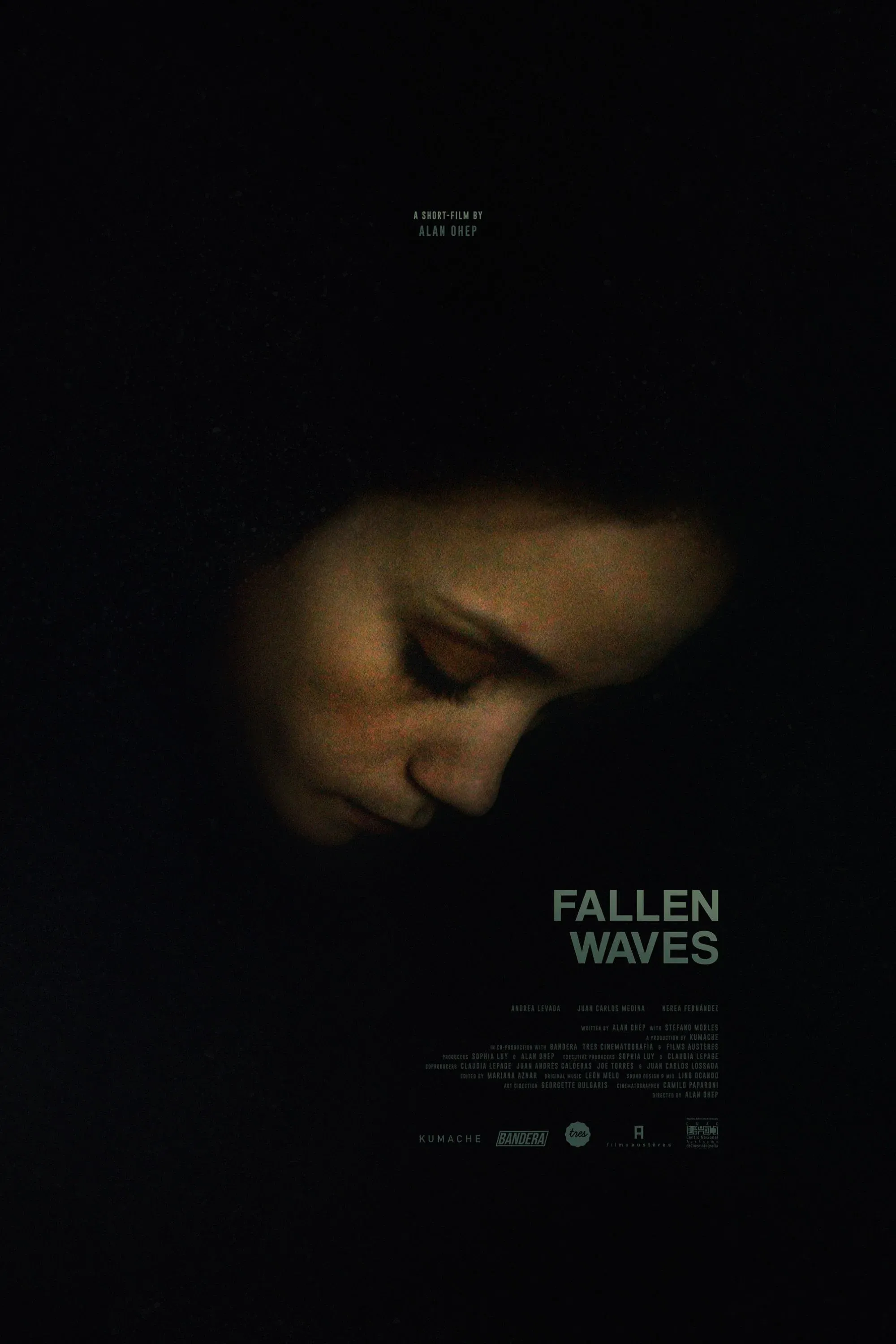 Poster for Fallen Waves