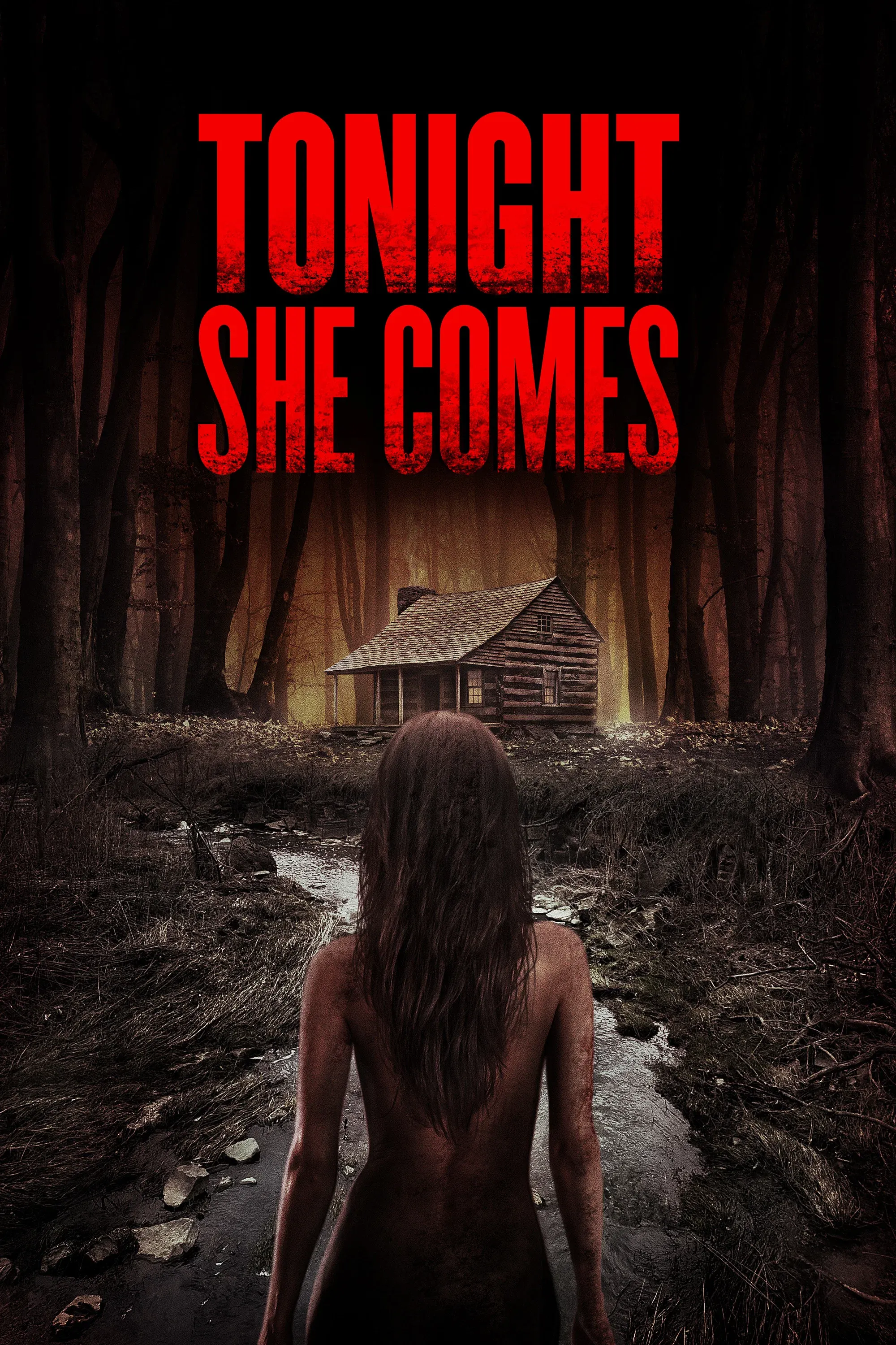 Poster for Tonight She Comes