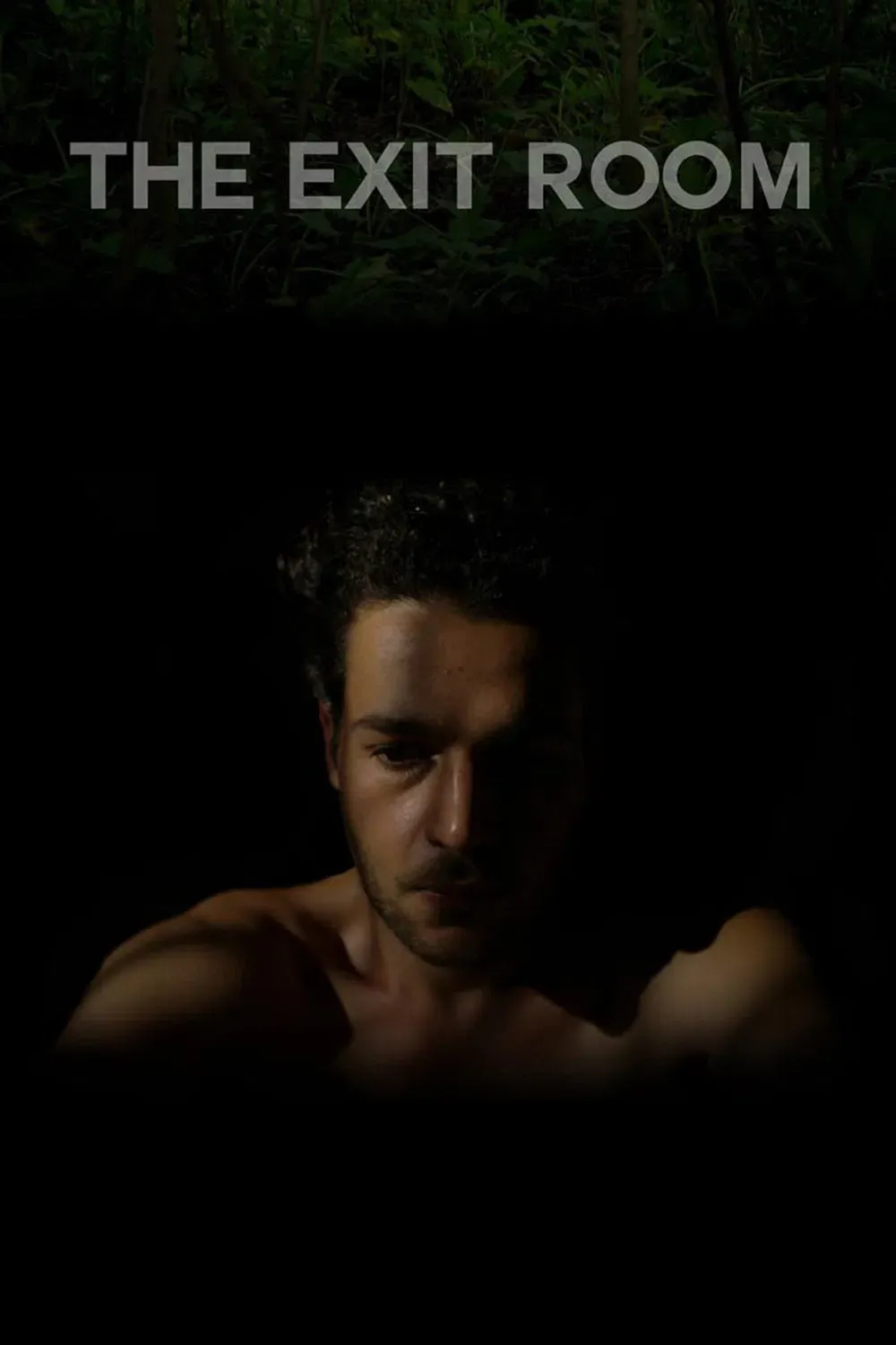 Poster of the movie The Exit Room