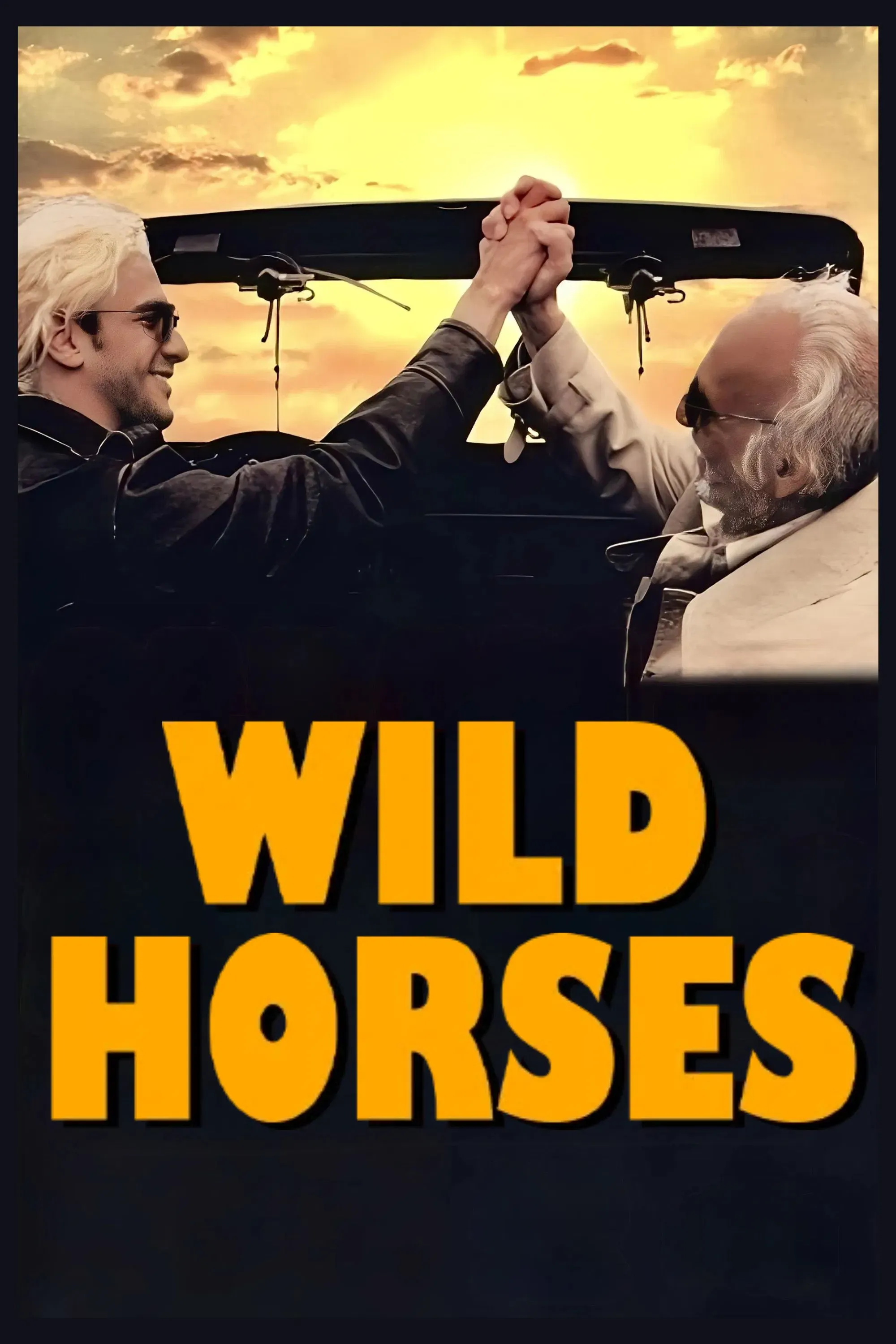 Poster of the movie Wild Horses
