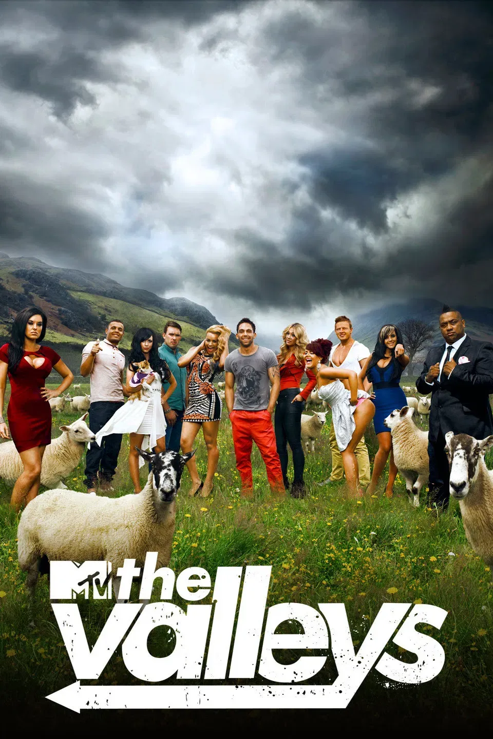 Poster of The Valleys