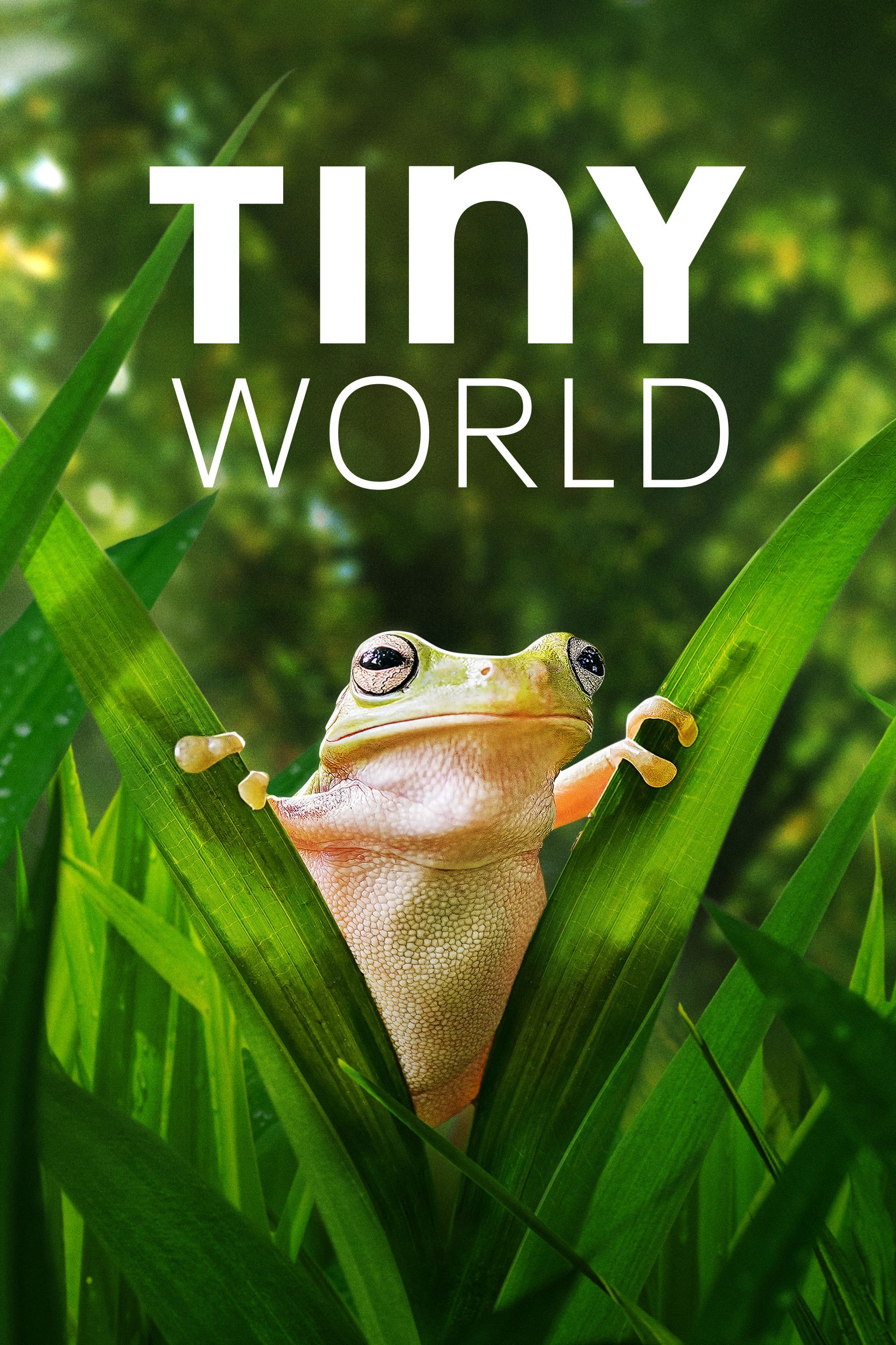 Poster of Tiny World