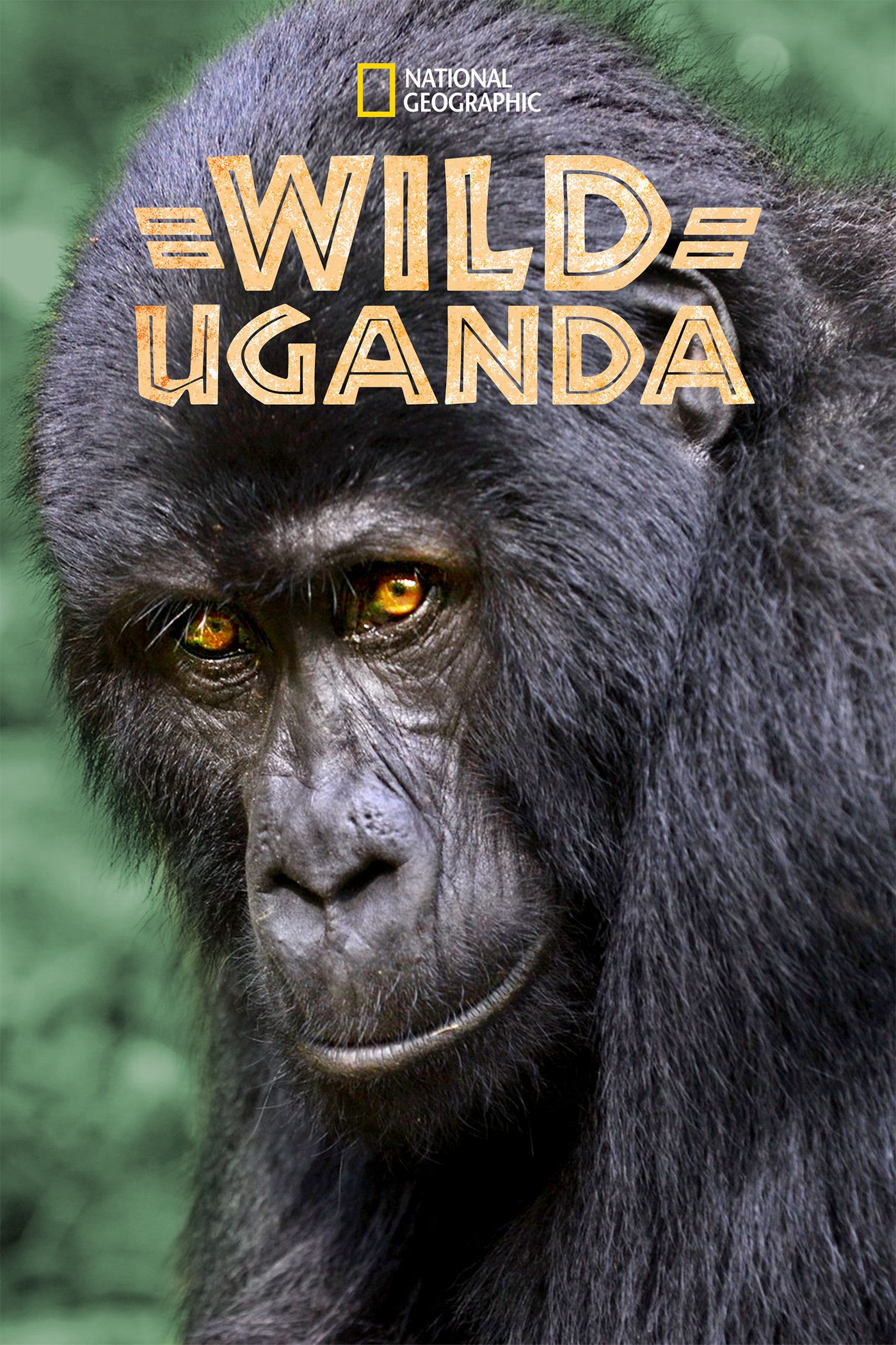 Poster of the movie Wild Uganda