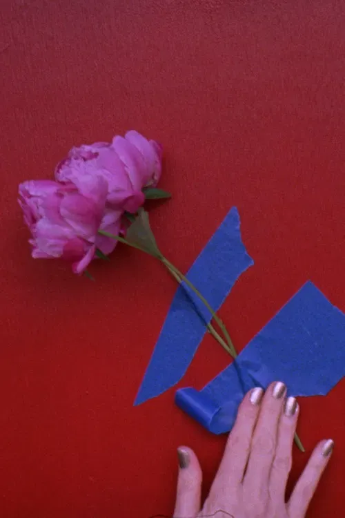 Poster of the movie 3 peonies