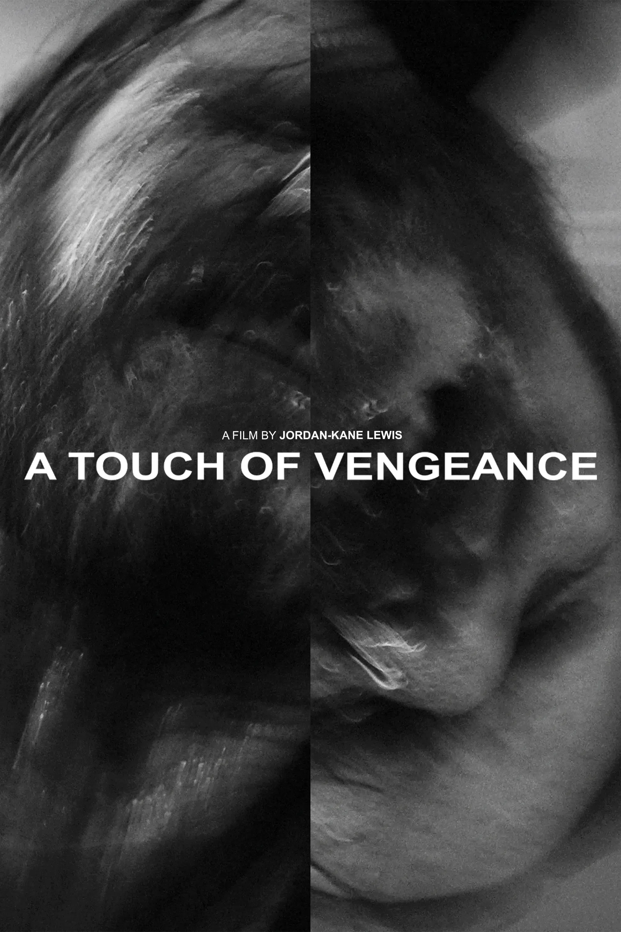 Poster of the movie A Touch of Vengeance