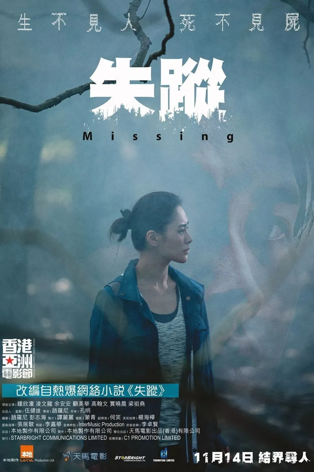 Poster of the movie Missing