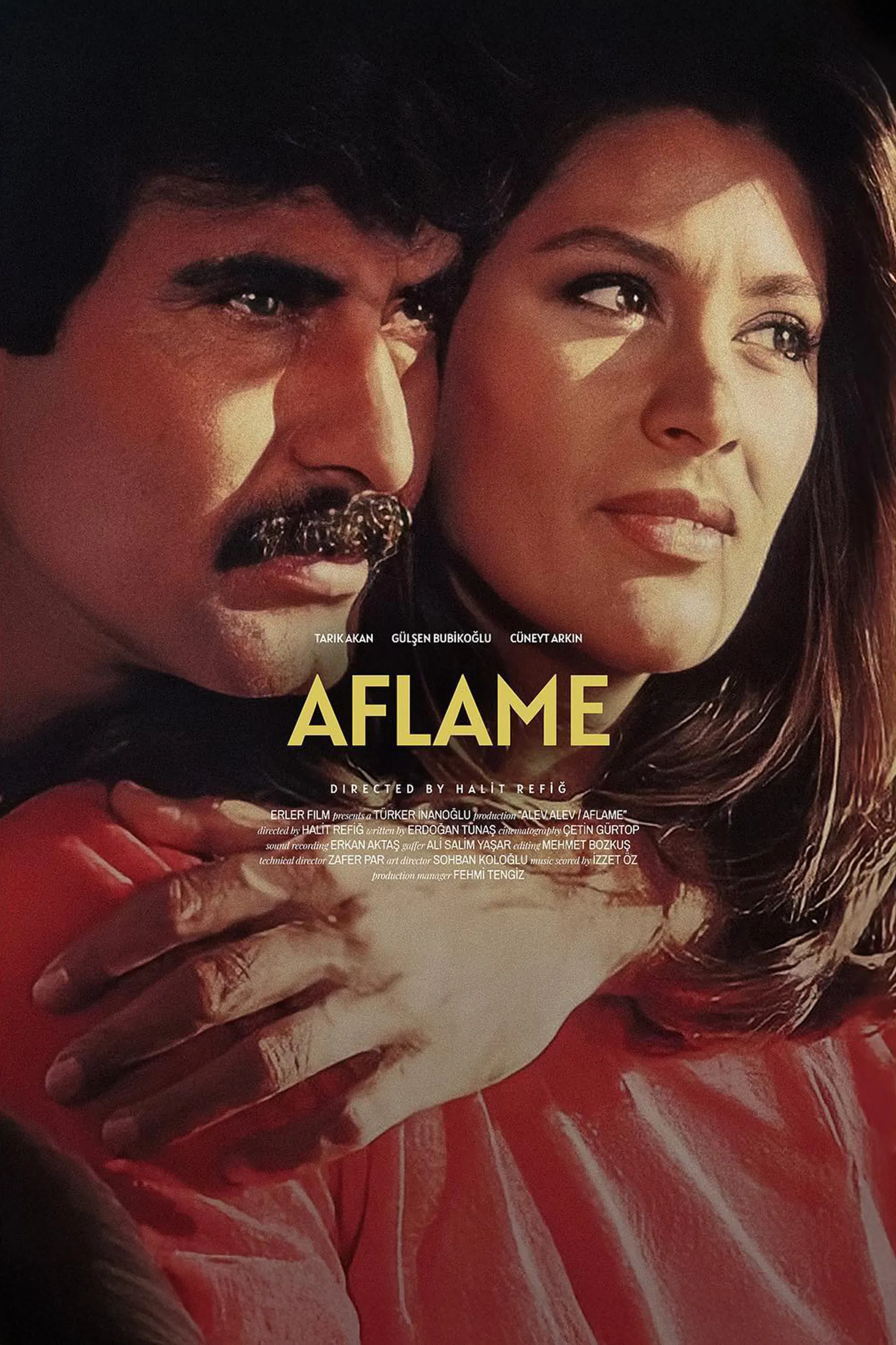 Poster of the movie Aflame