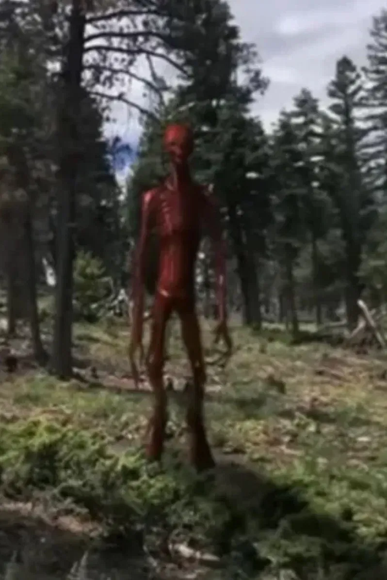 Poster of the movie Vita Carnis - Living Meat Documentary