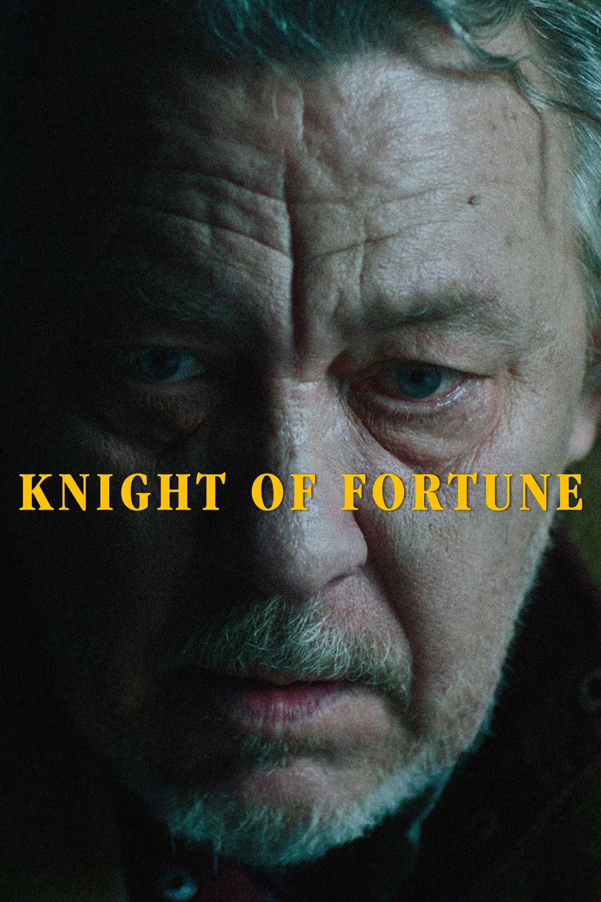 Poster of the movie Knight of Fortune