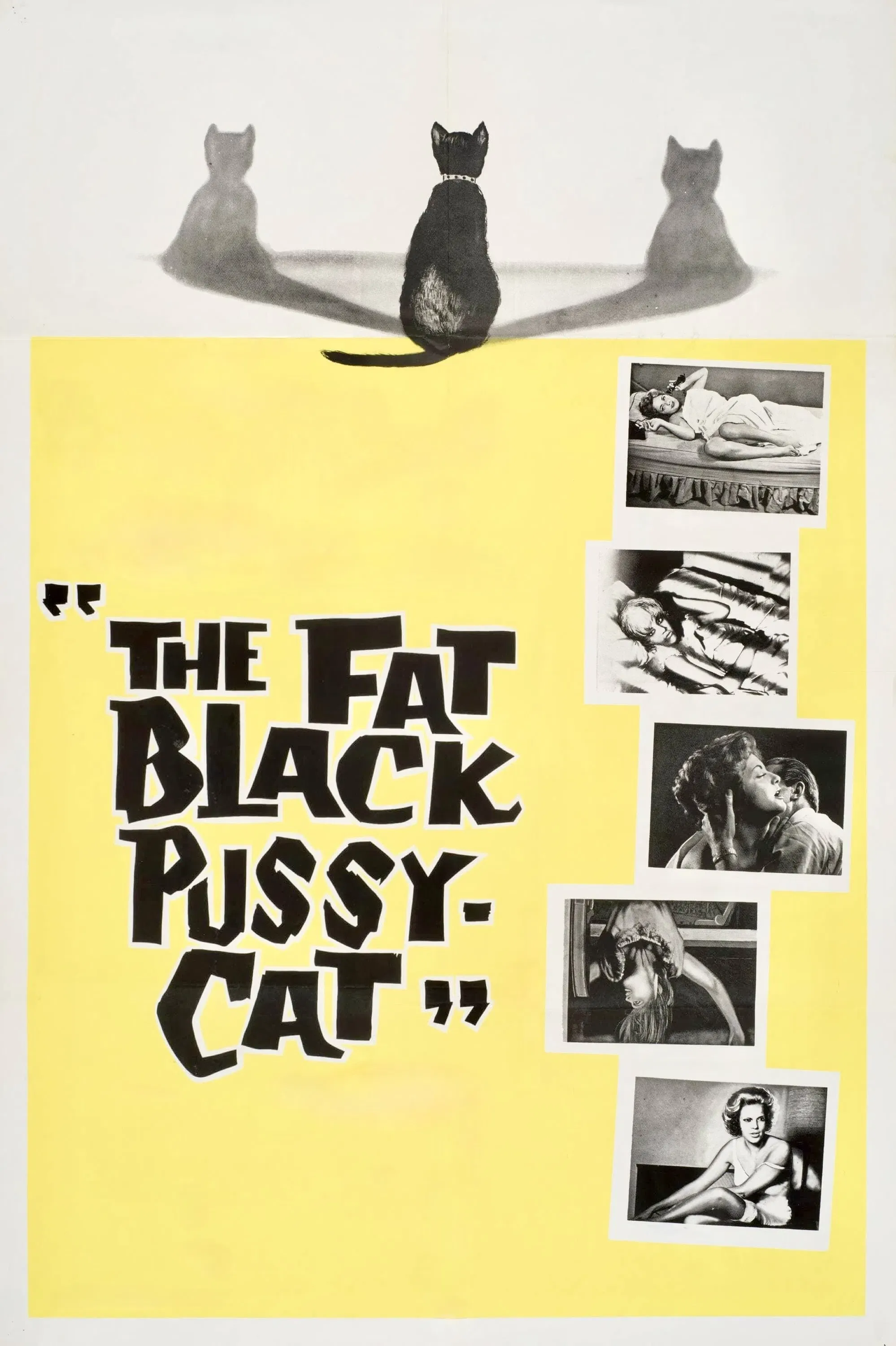 Poster of the movie The Fat Black Pussycat