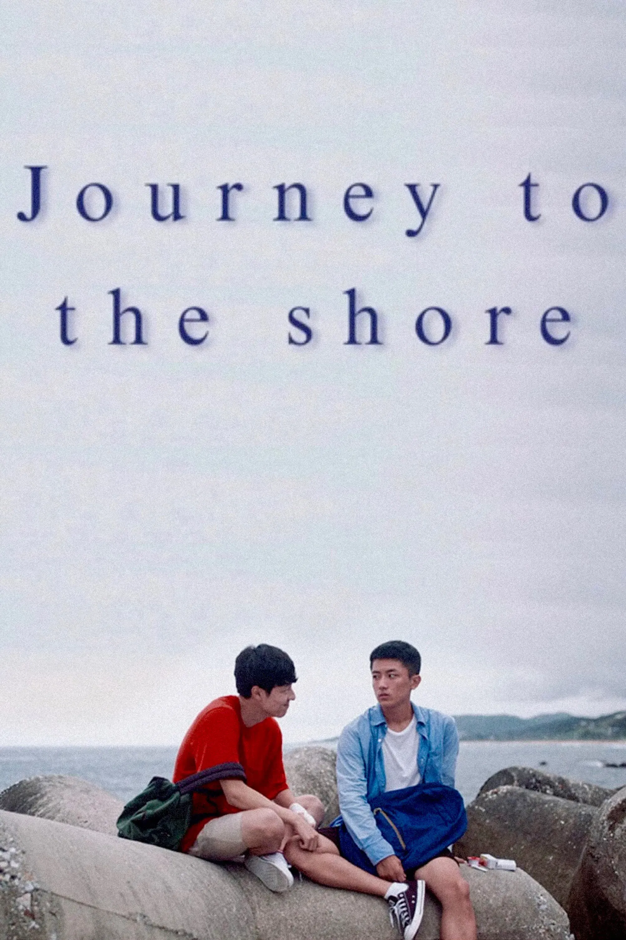 Poster of the movie Journey to the Shore